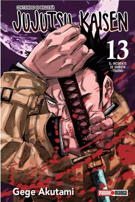 Jujutsu Kaisen #13