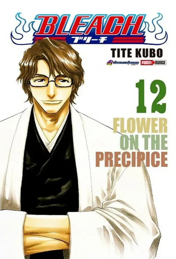 Bleach #12