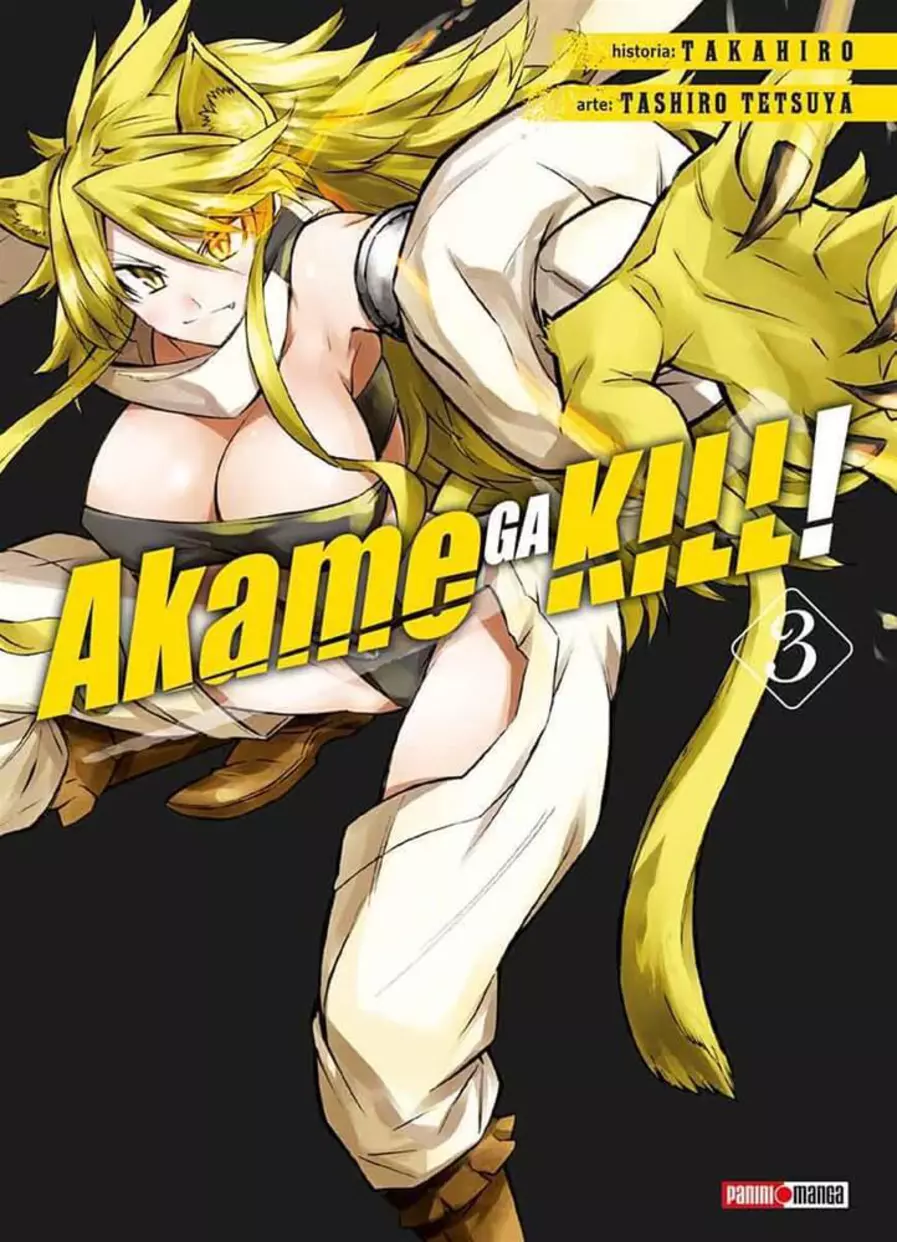 Akame Ga Kill #03