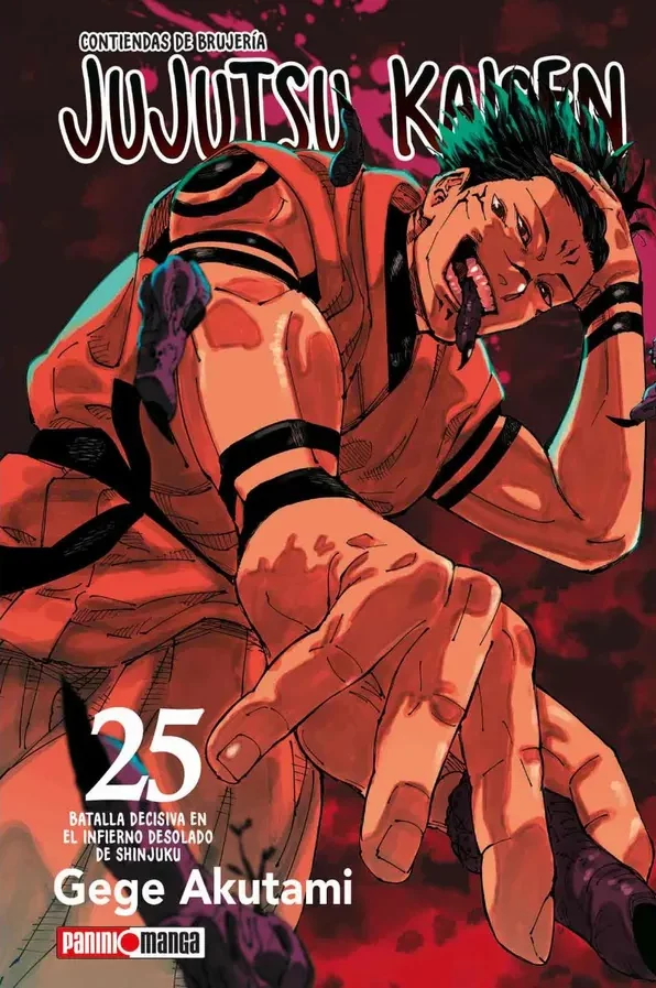 Jujutsu Kaisen #25