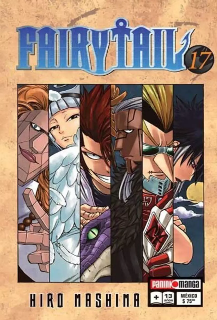 Fairy Tail #17