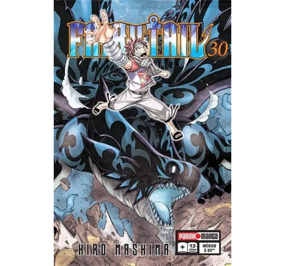 Fairy Tail #30