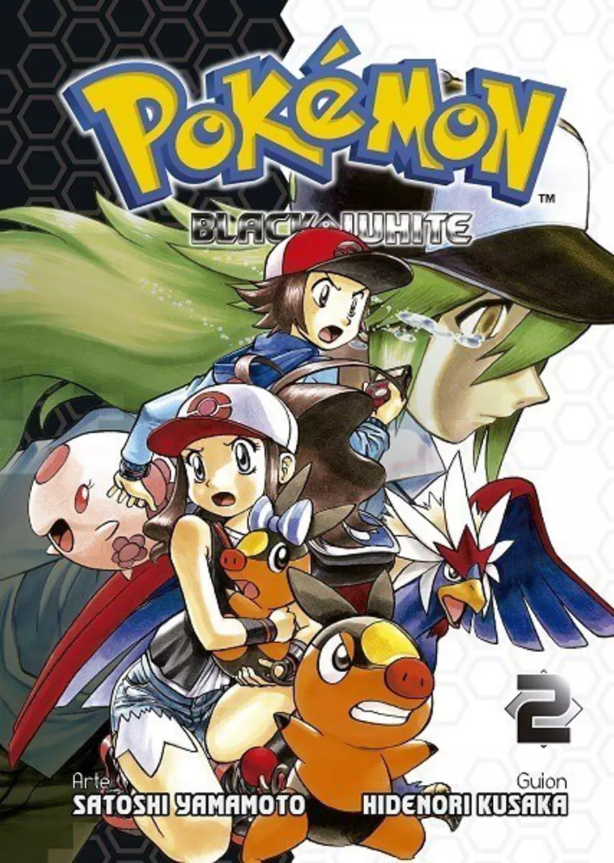 Pokémon P10 Black y White #02