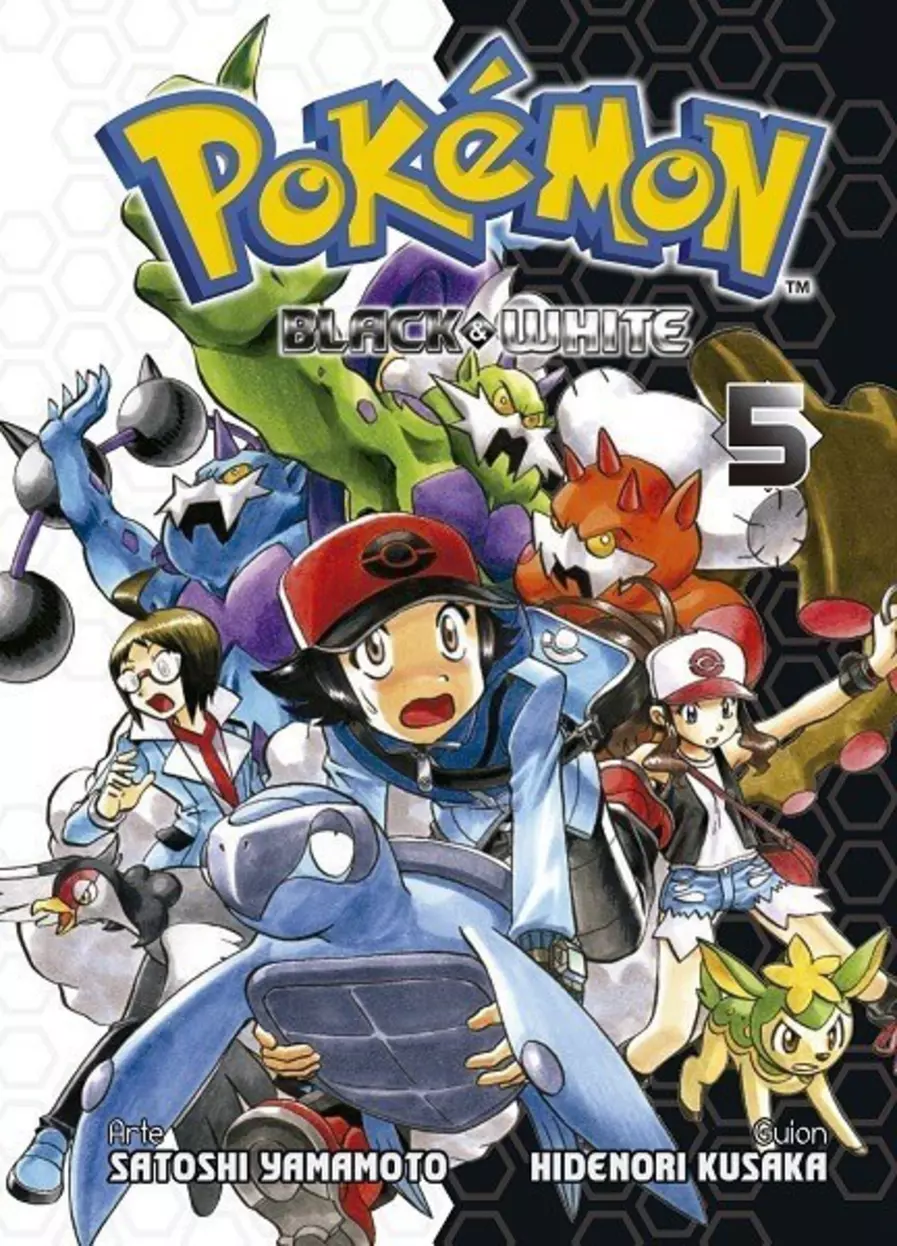 Pokémon P10 Black y White #05