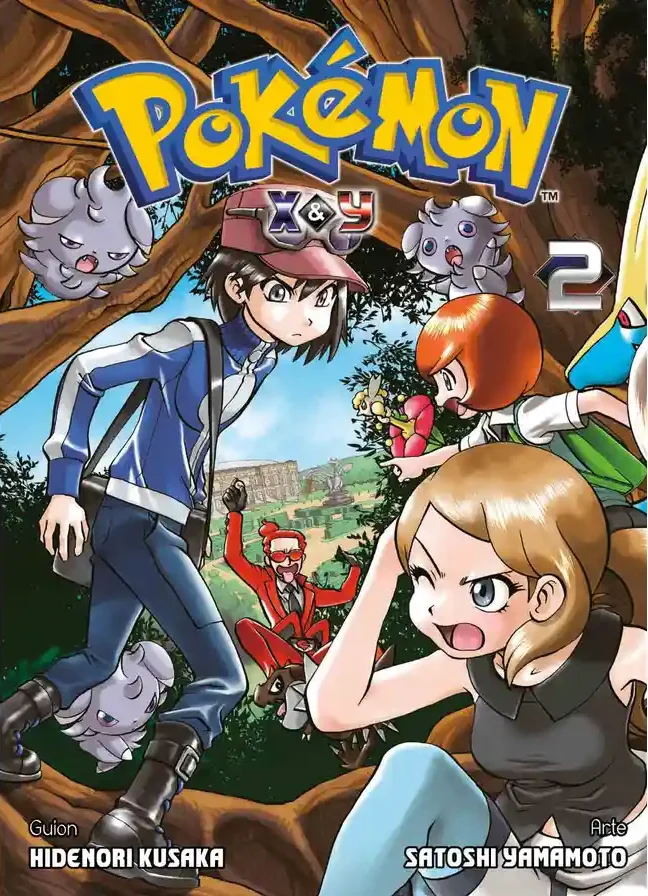 Pokémon P12 X y Y #02