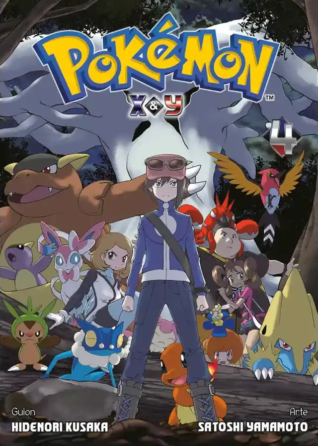 Pokémon P12 X y Y #04