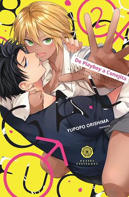 De playboy a conejita 02