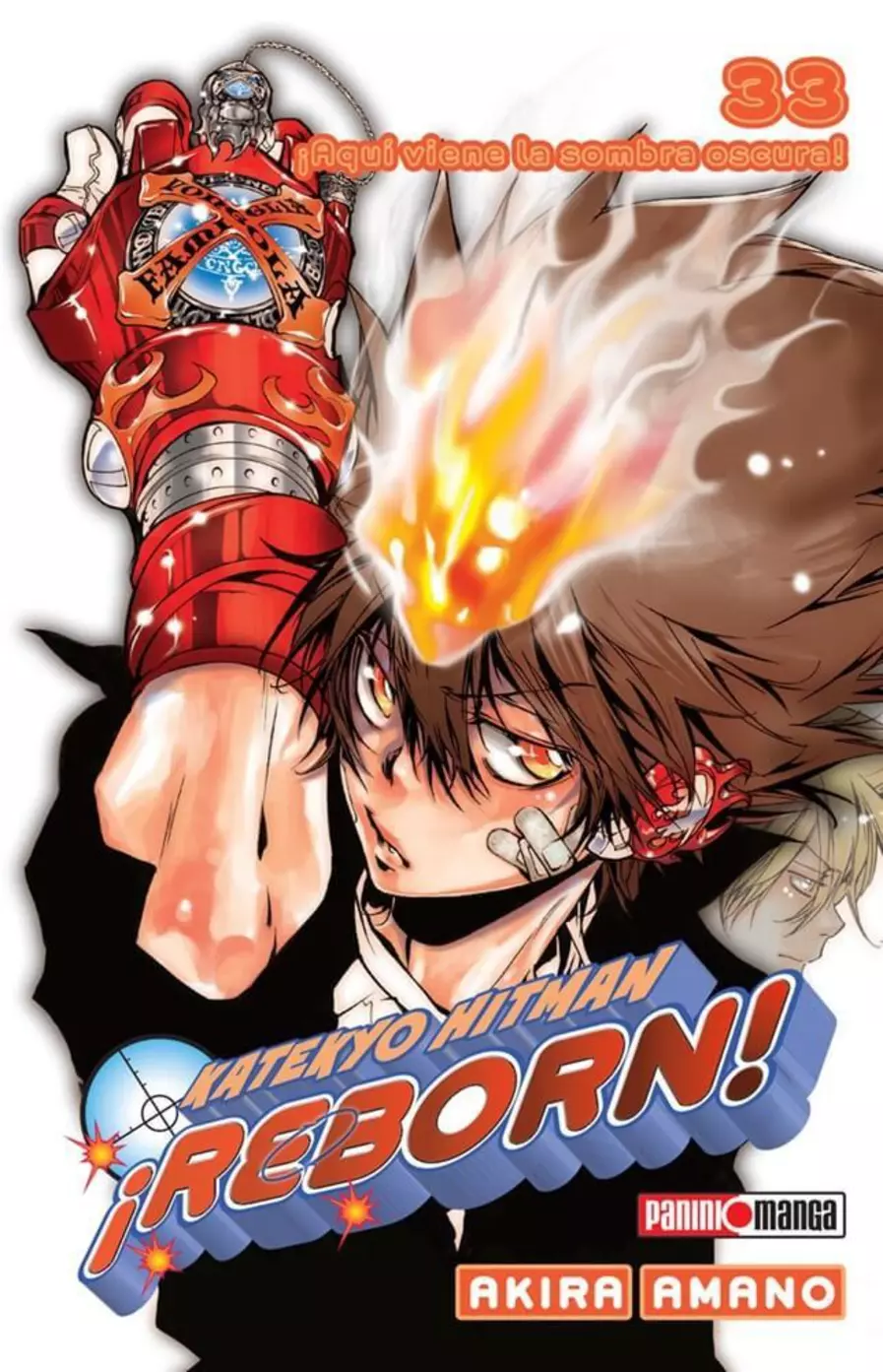 Katekyo Hitman Reborn #33