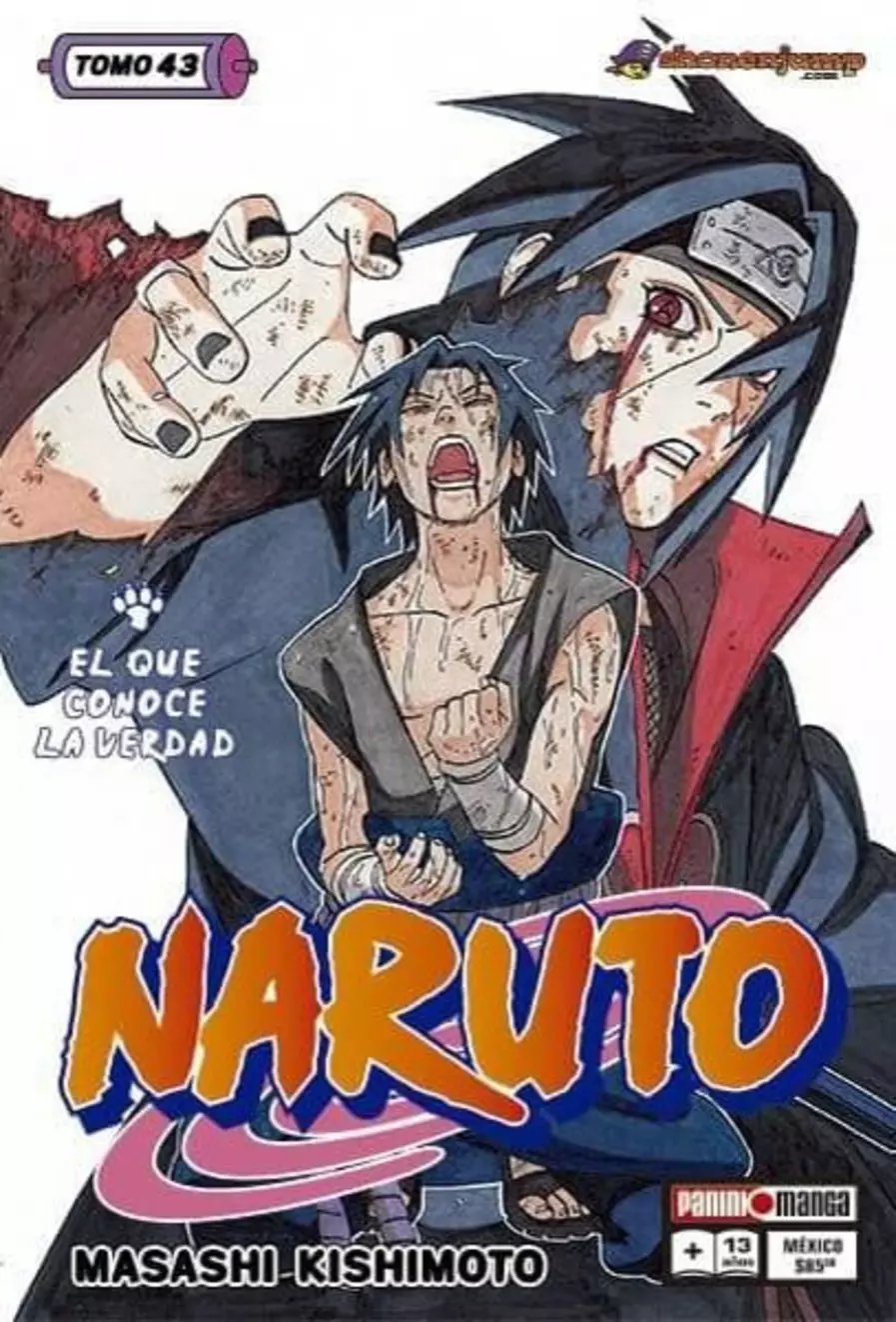 Naruto #43