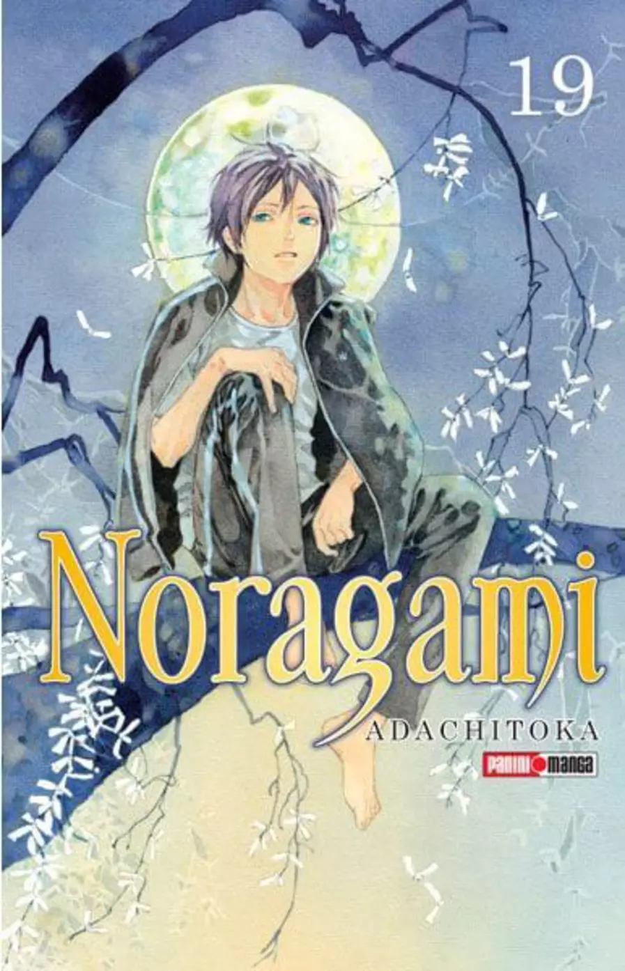 Noragami #19