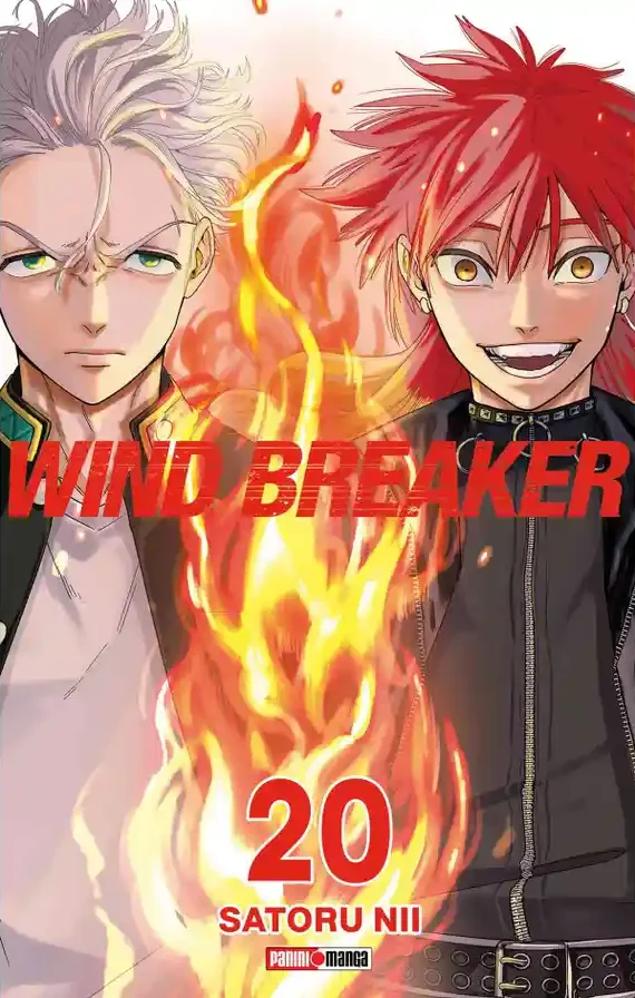 Wind Breaker #20