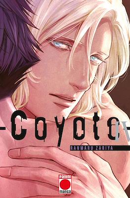 Coyote 04
