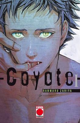 Coyote 01