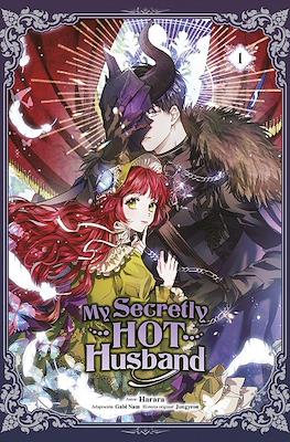 My Secretly Hot Husband