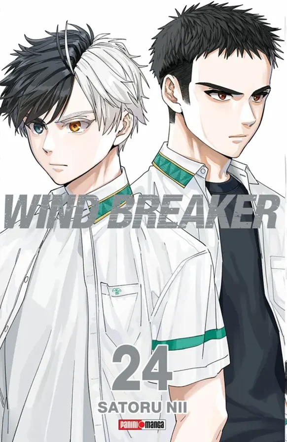 Wind Breaker #24