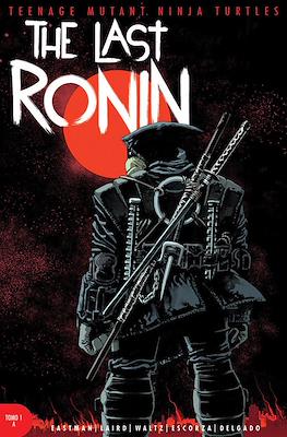 Teenage Mutant Ninja Turtles: The Last Ronin 01