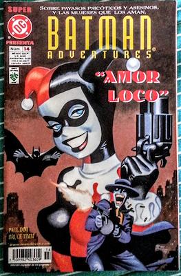 Batman: Amor Loco 14